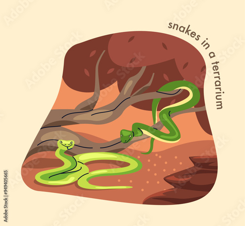 Zoo map. Tropical and exotic snakes on tree branches. Wildlife Park or menagerie with African Animals. Jungle Dwellers. Savanna Safari. Cartoon vector illustration isolated on beige background