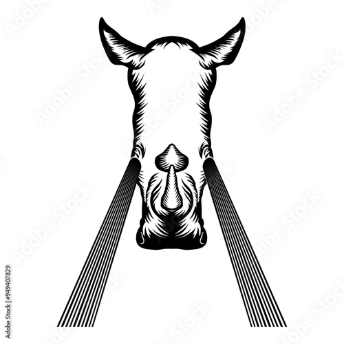 Rhinoceros Lazer Beam Eyes