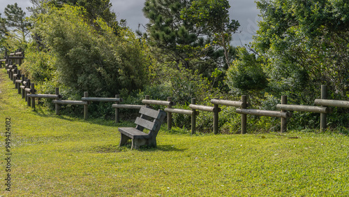 A wooden bench for relaxing on a green manicured lawn. Behind is a log fence, thickets of tropical forest. Mauritius. photo