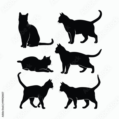 American Shorthair Cat Silhouette Vector Set Animals Illustration Template