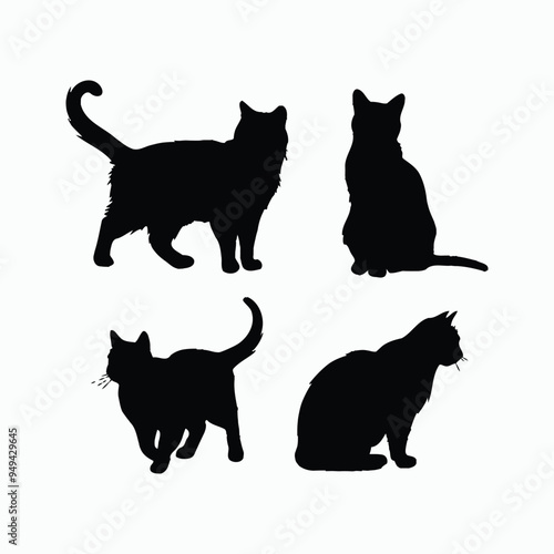 American Shorthair Cat Silhouette Vector Set Animals Illustration Template