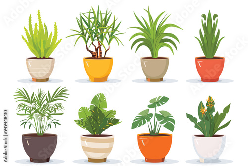 Different plant collection in pot for home decoration, isolated on a white background. Plant in pot vector illustration flowerpots set. Vector Set of different houseplants in flower pots