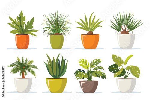 Different plant collection in pot for home decoration, isolated on a white background. Plant in pot vector illustration flowerpots set. Vector Set of different houseplants in flower pots