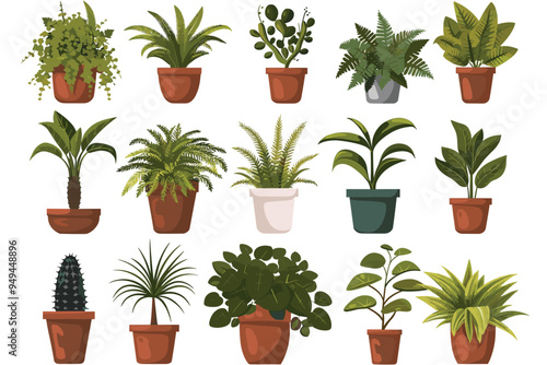 Different plant collection in pot for home decoration, isolated on a white background. Plant in pot vector illustration flowerpots set. Vector Set of different houseplants in flower pots