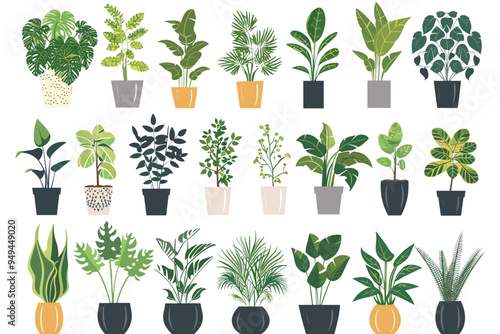 Different plant collection in pot for home decoration, isolated on a white background. Plant in pot vector illustration flowerpots set. Vector Set of different houseplants in flower pots