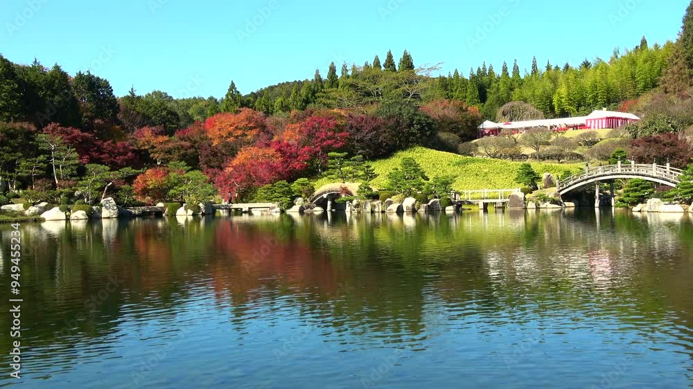 観光客が訪れる秋の日本庭園 4K 観光客が訪れる秋の日本庭園 4K