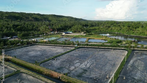 Aerial view of multiple milk fish industry enclosed ponds, Philippines photo