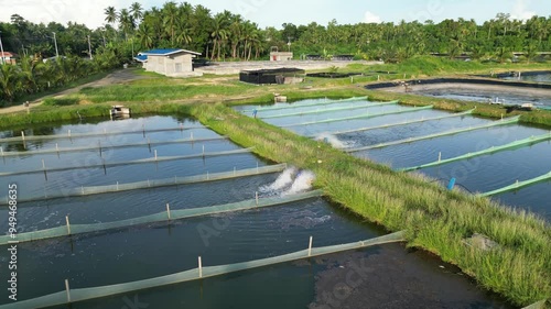 Aerial view of multiple milk fish industry enclosed ponds, Philippines photo