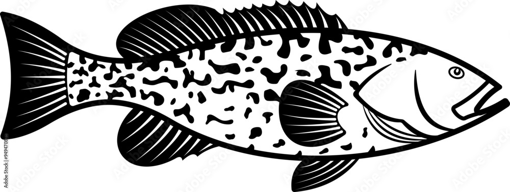 Grouper Fish Grouper Fish