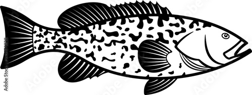 Grouper Fish