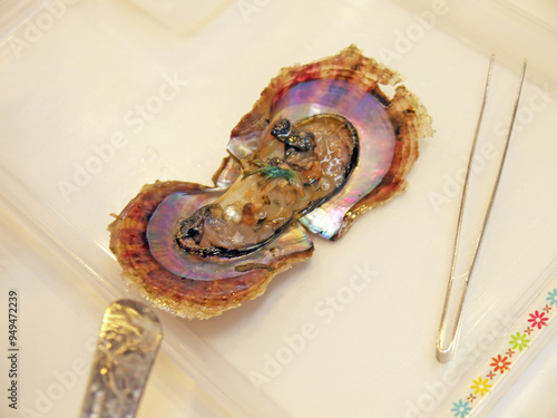 Pearl ball laying inside the opened nacre oyster shell, good luck concept photo