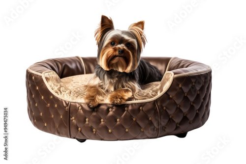 A luxury dog bed made of high-quality materials and features a stylish design. Isolated on white background