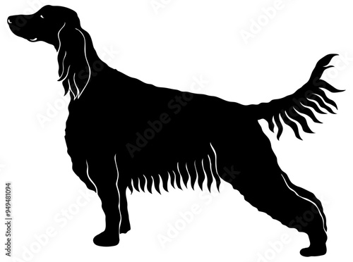 Irish Setter