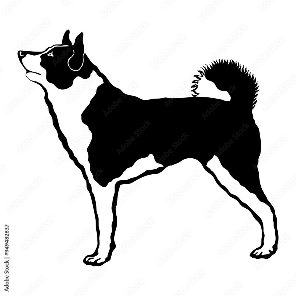 Karelian Bear Dog Karelian Bear Dog