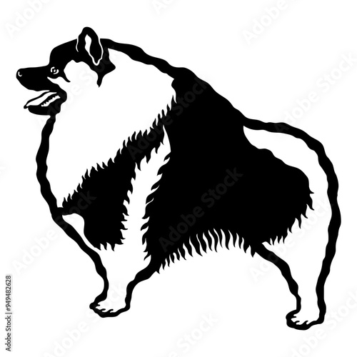 Keeshond