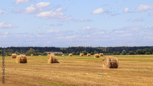 Haystack in the field after harvest. Round bales of hay across a farmer's field, blue sky with clouds