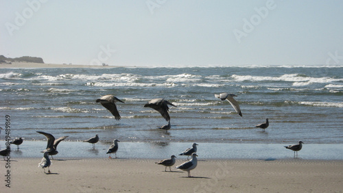 Follow the Leader