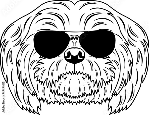 Malshi In Sunglasses