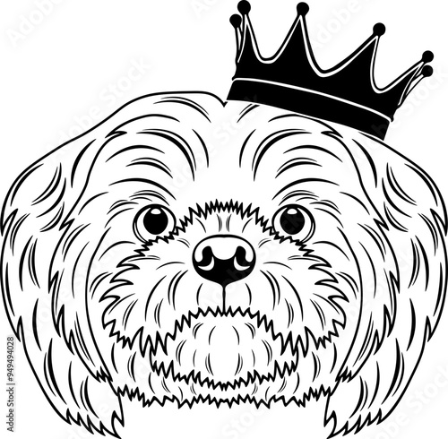 Malshi Wearing A Crown