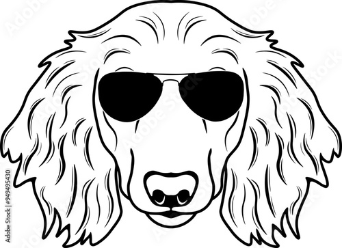 Miniature Long Haired Dachshund In Sunglasses