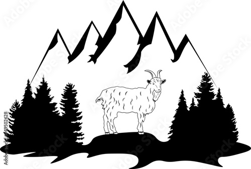 Mountain Goat