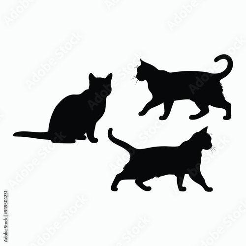 American Shorthair Cat Silhouette Vector Set Animals Illustration Template