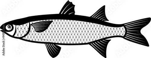 Mullet