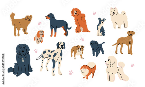 Photography Cute dogs doodle vector set