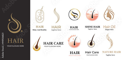 set of  luxury Abstract hair logo. Vector illustration design template 
