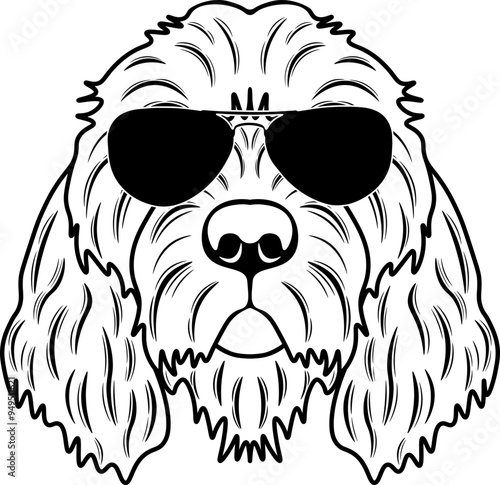 Otterhound In Sunglasses