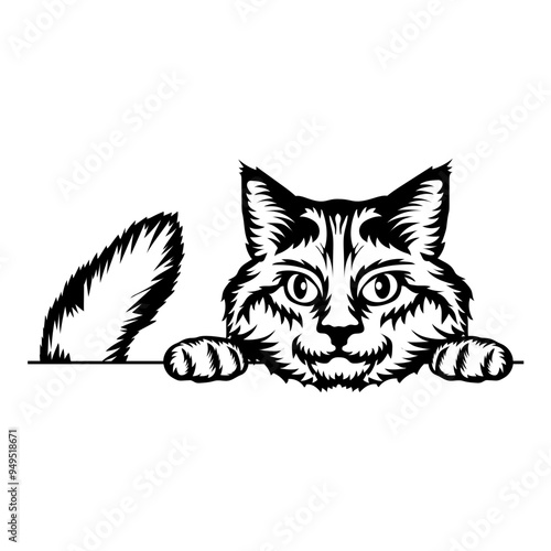 American Bobtail Cat
