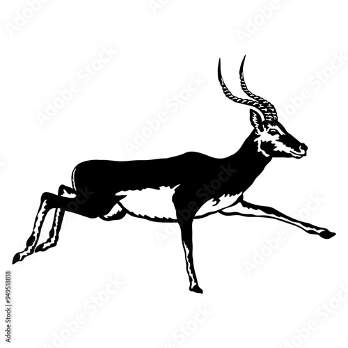 Antelope Runnong