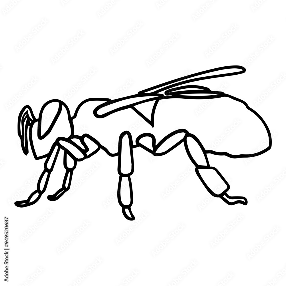 Baby Bee Outline Baby Bee Outline