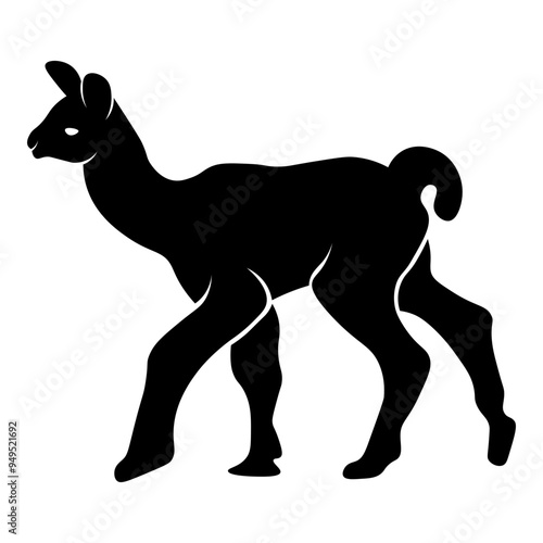 Baby Llama