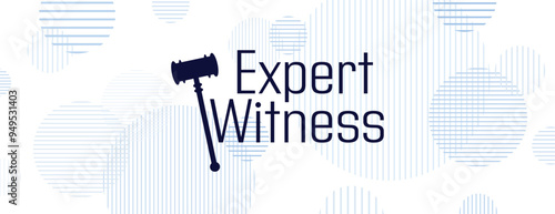 expert witness text on white background
