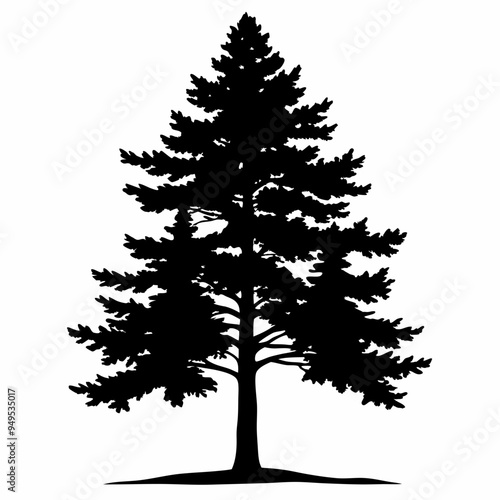 Pine tree silhouette vector illustration. Christmas tree on white background