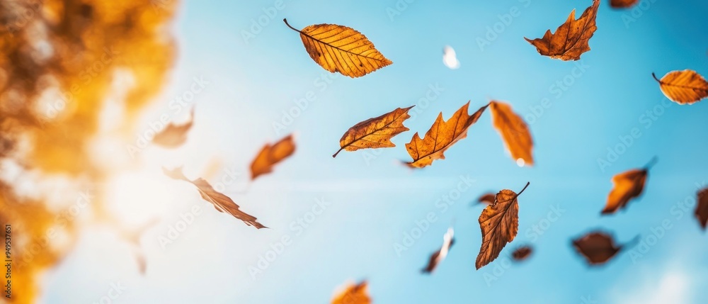 Autumn Leaves Falling Against a Blue Sky Autumn Leaves Falling Against a Blue Sky