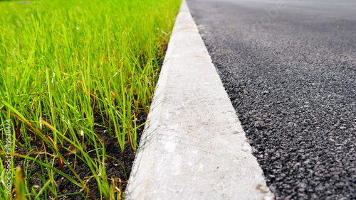 The edge of a paved road where the green lawn begins photo