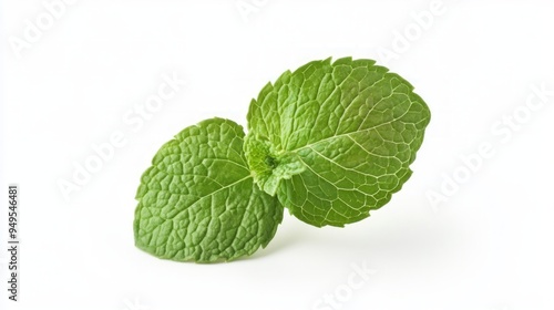 Fresh mint isolated on white background. Fresh mint leaf. Clipping path mint. Mint macro studio photo