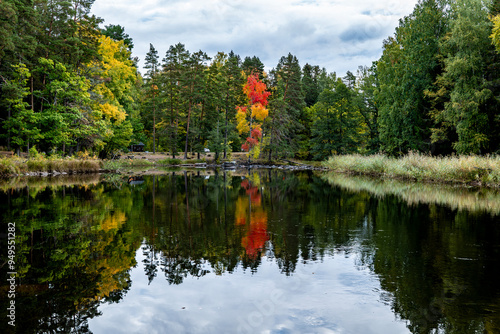 River area in autumn. Farnebofjarden national park in north of Sweden. photo