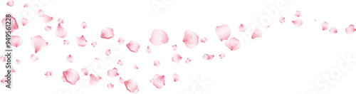 Wave flying rose petals transparent background. Beautiful floral overlay with lots of rose petals.