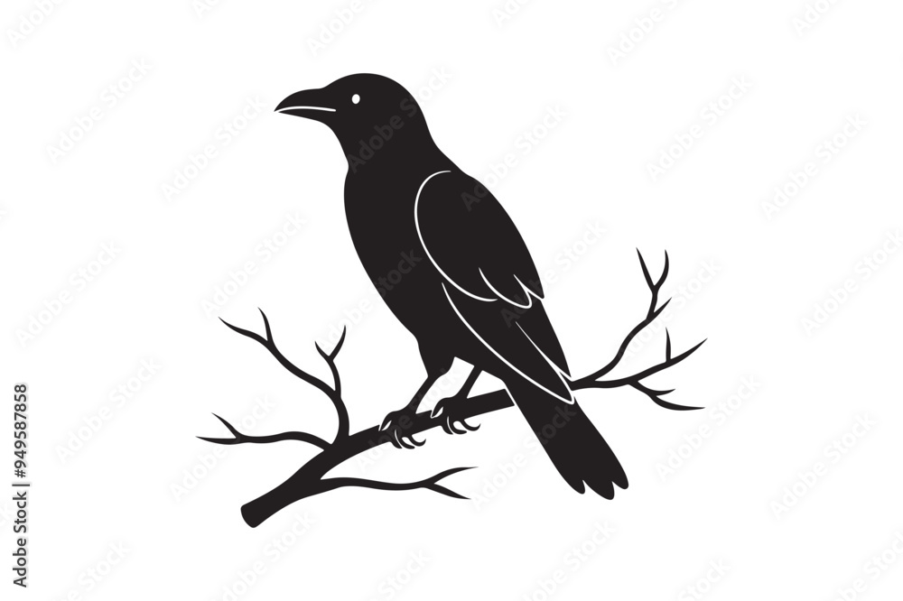 Crow silhouette vector illustration Crow silhouette vector illustration