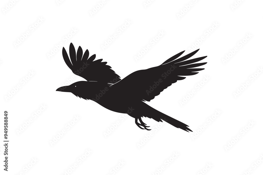 Crow silhouette vector illustration Crow silhouette vector illustration