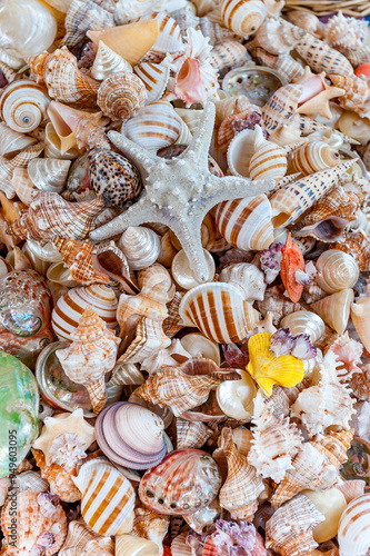 Bunt bemaltes, kitschiges, teilweise künstlich hergestelltes Strandgut als Souvenire für Touristen photo