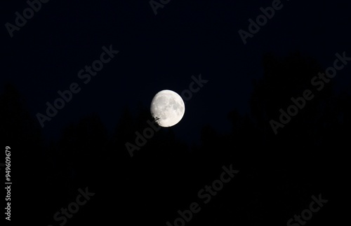 a large sometimes full white, spotted moon on a black background