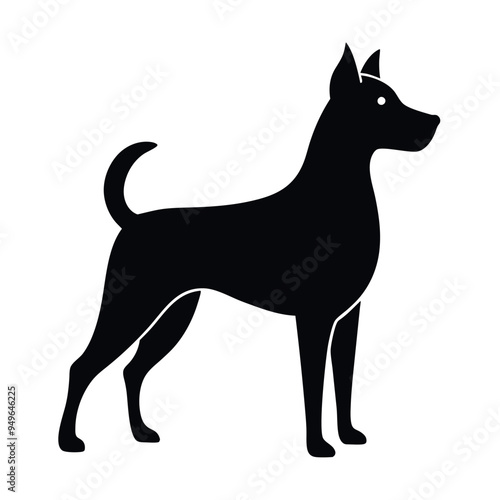  A cute dog vector illustration. photo