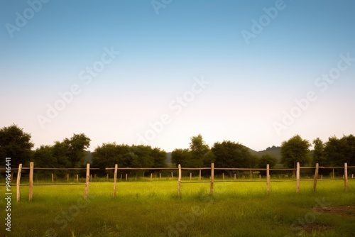 Serene Green Field with Wooden Fence and Blue Sky