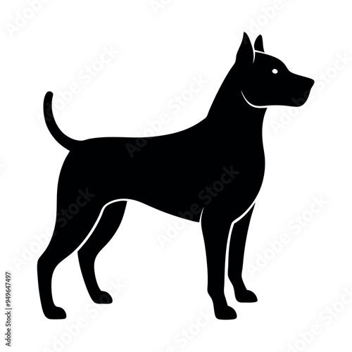  A cute dog vector illustration. photo