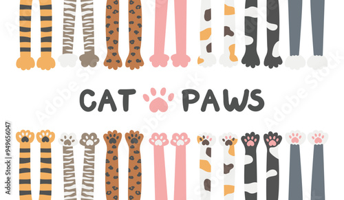 Cat paws from a top view and a bottom view. A set with cute cat palms in tabby, sphynx, spotted tricolor, gray, black, striped patterns. Kitten paw pads. For cards, stickers, shelter, background