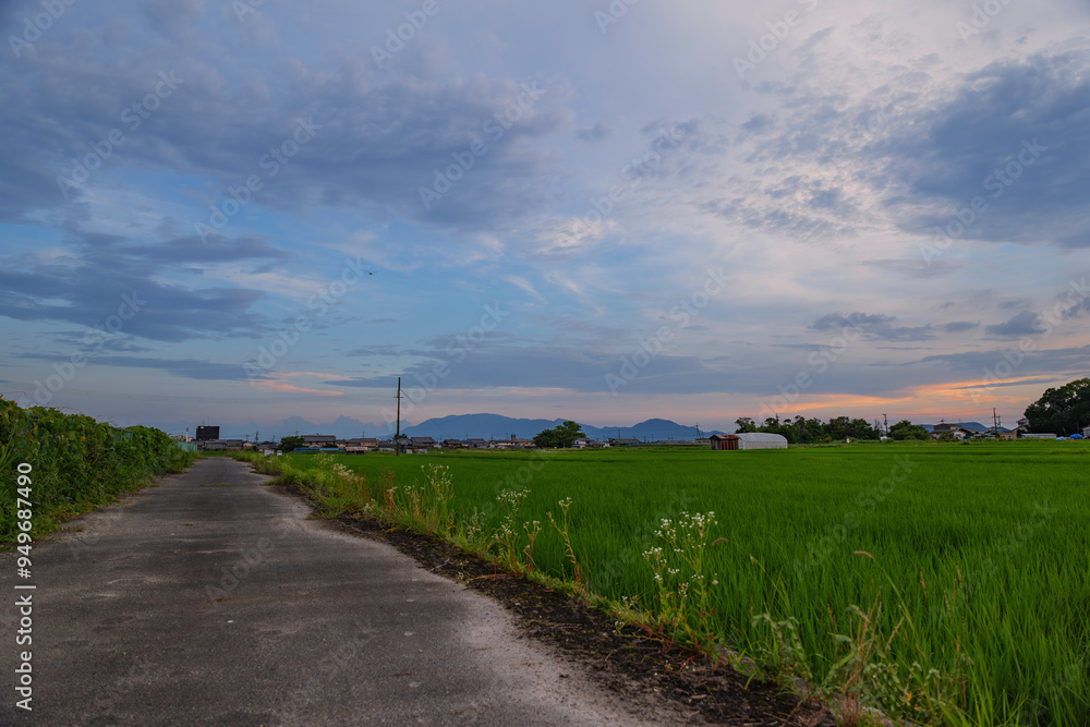 Japanese farming villages, countryside, rice fields, meadows, and fields in summer Japanese farming villages, countryside, rice fields, meadows, and fields in summer